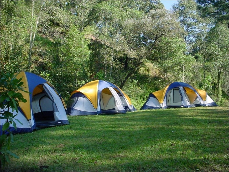 📍Si andas buscando un plan lleno de adrenalina, checa este lugar