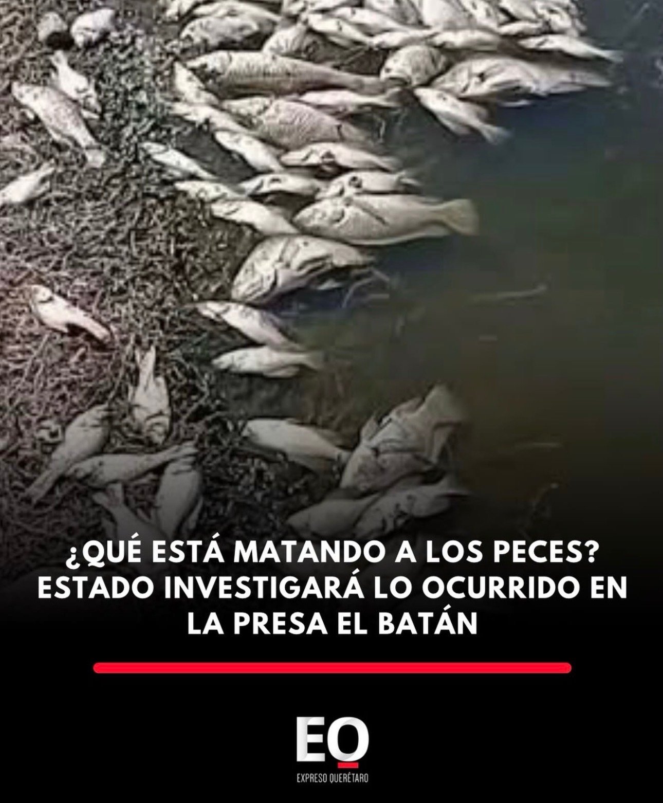 📲Resumen del martes 30 de junio de 2026 de Expreso Querétaro. 🚉Habrá cierres y rutas alternas por obra federal del Tren México-Qro. 🐟Investigarán muertes de peces en El Batán. 🫵🏻Alcaldesas de la zona serrana exigen a la CFE atender apagones.