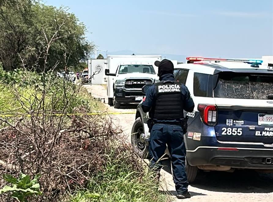 📲Resumen del viernes 24 de junio de 2026 de Expreso Querétaro.🚨Intensa movilización en El Marqués luego del hallazgo de un cuerpo sin vida.🤖Segundo avistamiento de puma fue creado con IA.🪖Plan DN-III ha sido activado 6 veces en la Sierra Queretana.