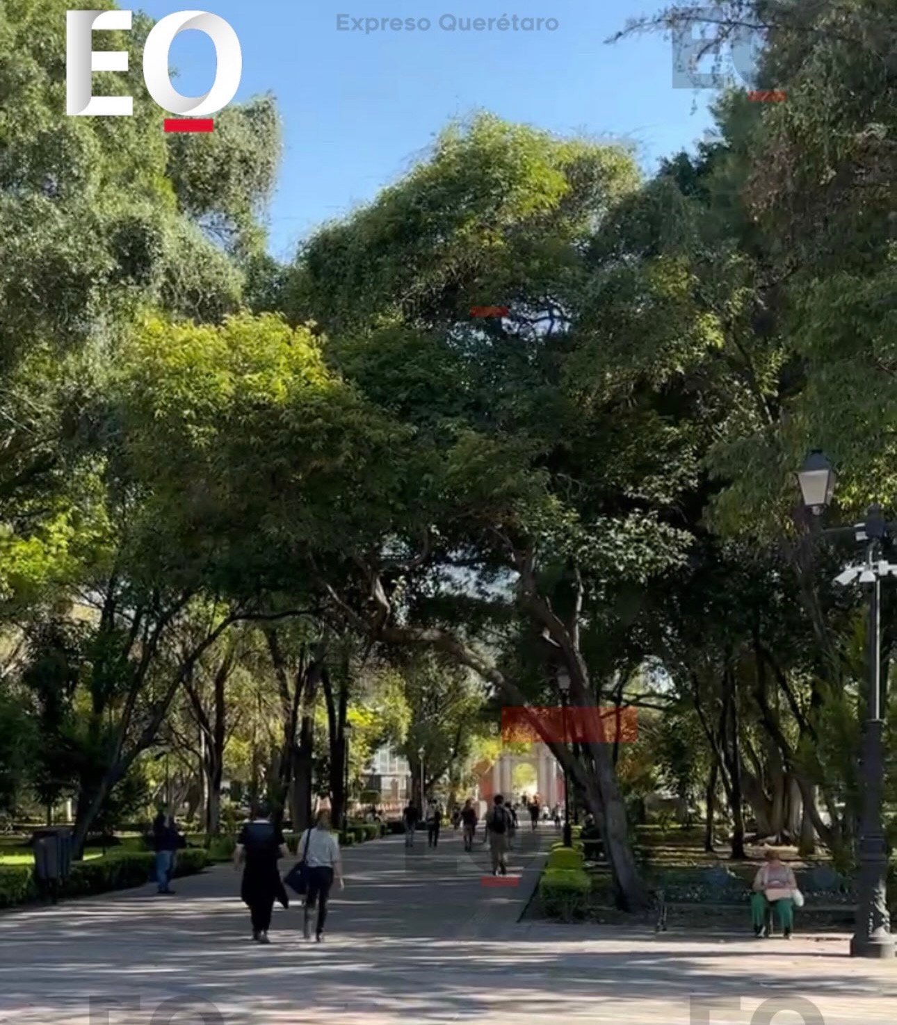📲Resumen del viernes 21 de agosto de 2026 de Expreso Querétaro.✍🏻Preparan diagnóstico para conocer las condiciones del arbolado de la capital.⬇️Hømicidiøs dolosos disminuyeron 37% en los primeros 7 meses de 2026.❌Transportaba Mercurio de forma ilegal, hay un detenido.